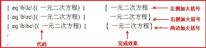 在WPS 2010的金山文字中，巧用域代码录入复杂关系式